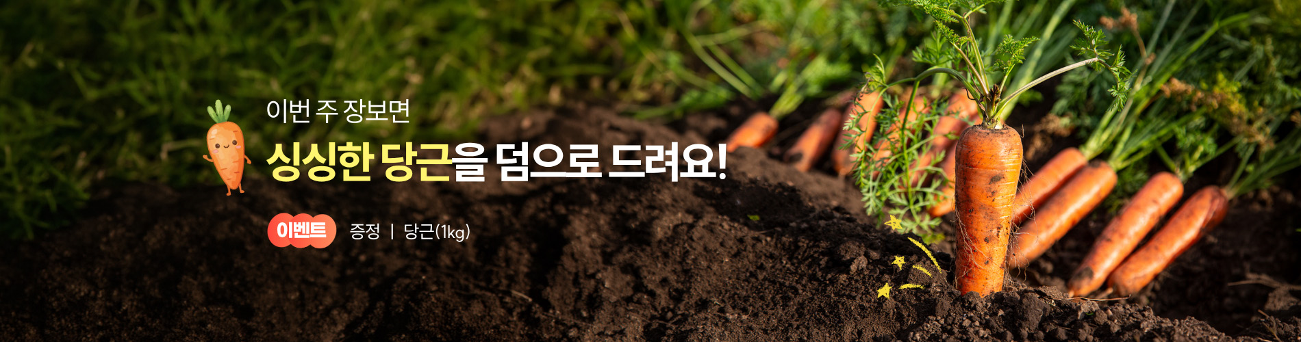 23주 당근 증정