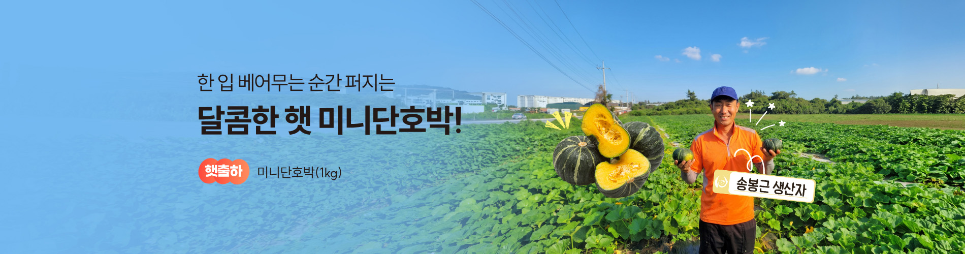 햇출하 농산물