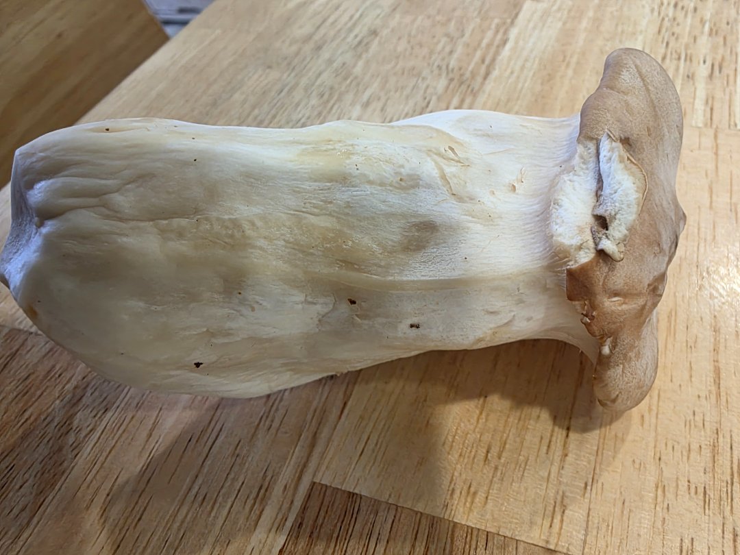 후기 사진
