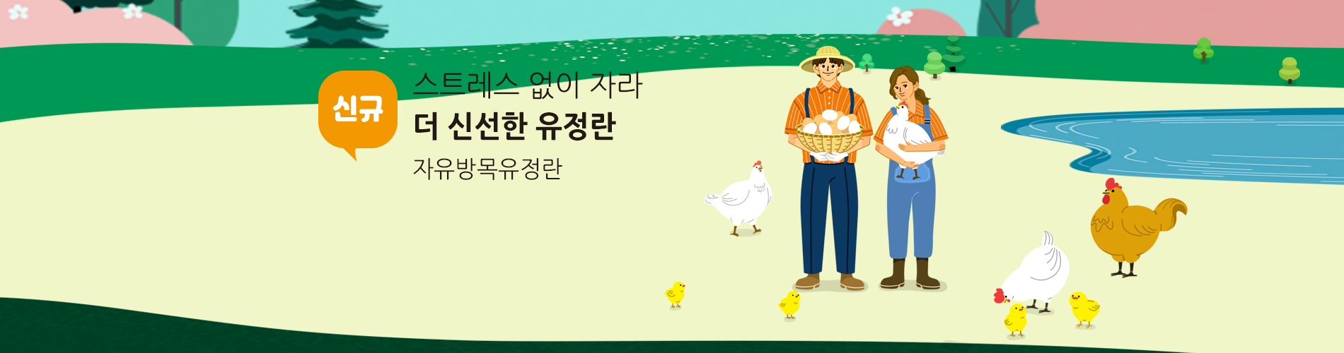 자유방목유정란