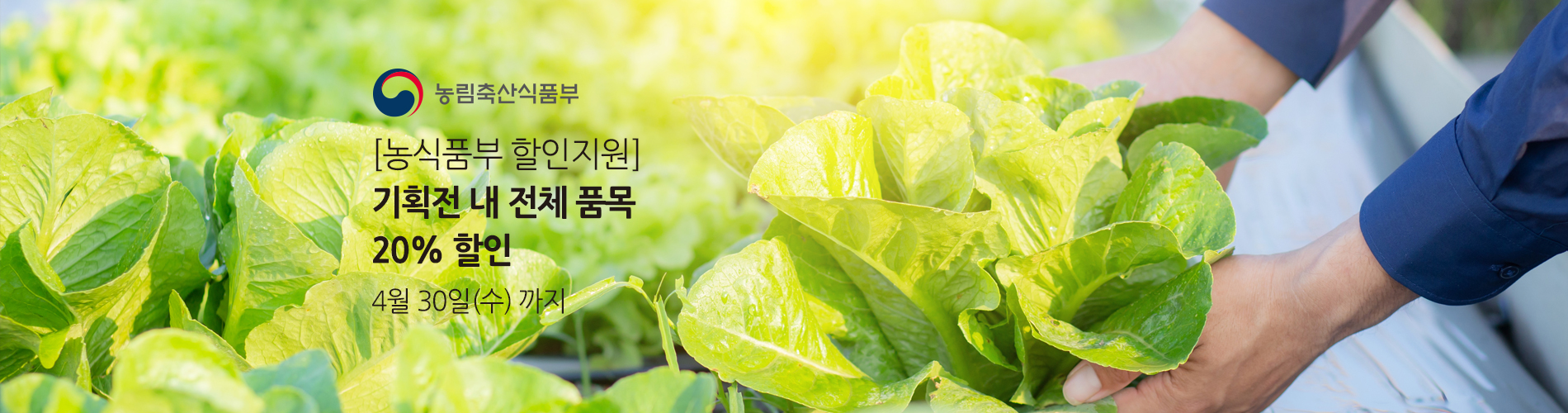 농축산 할인
