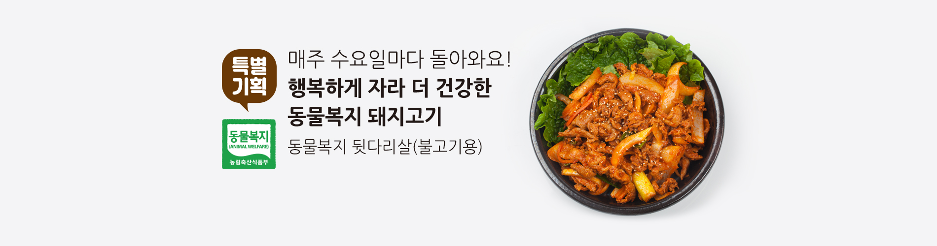 동물복지