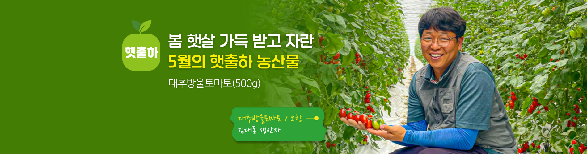 햇출하
