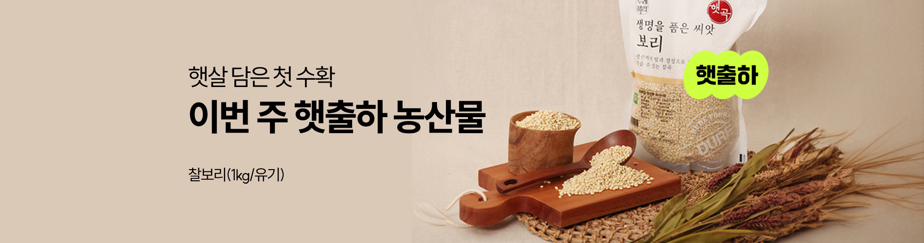 이번주 햇출하
