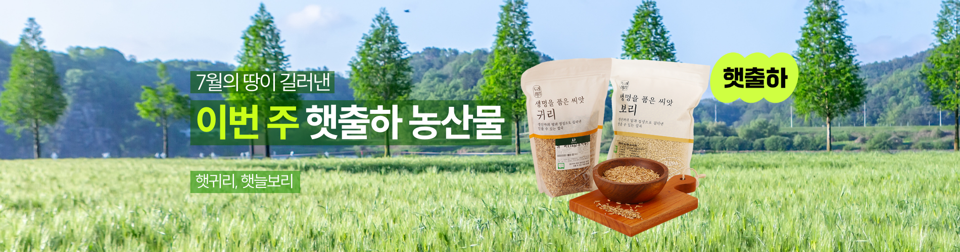 7월의 햇출하 농산물