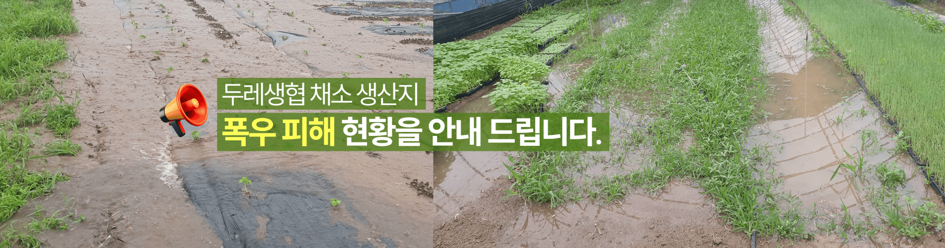 폭우 피해 현황 안내