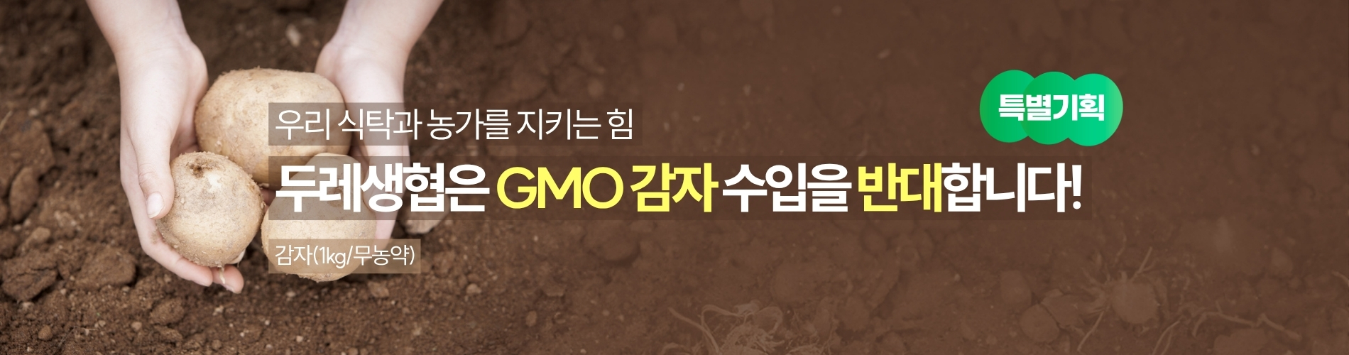 감자