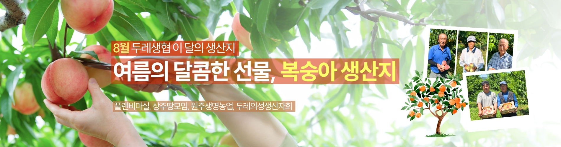 이달의 생산지_복숭아