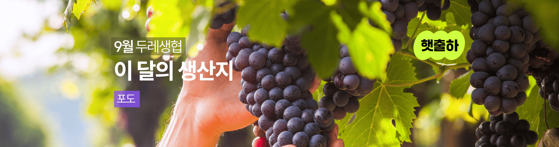 두레생협 이달의 생산자