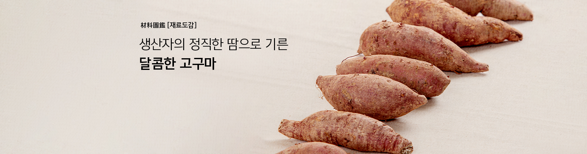 생활재도감, 고구마