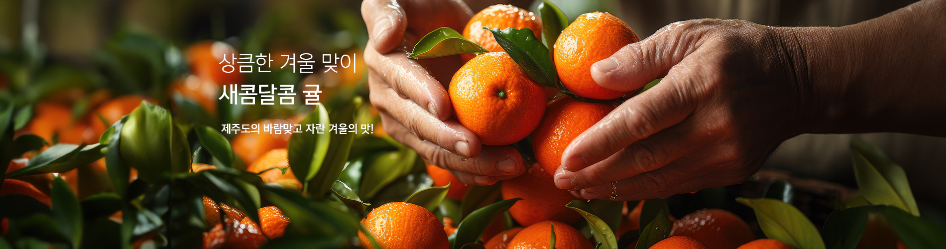 제주과일
