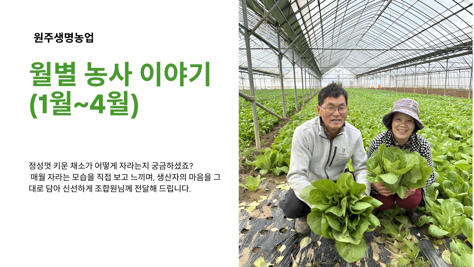 타이틀이미지